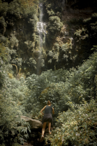 Young backpacker hiking through dense green jungle towards a waterfall in Panama's national park.