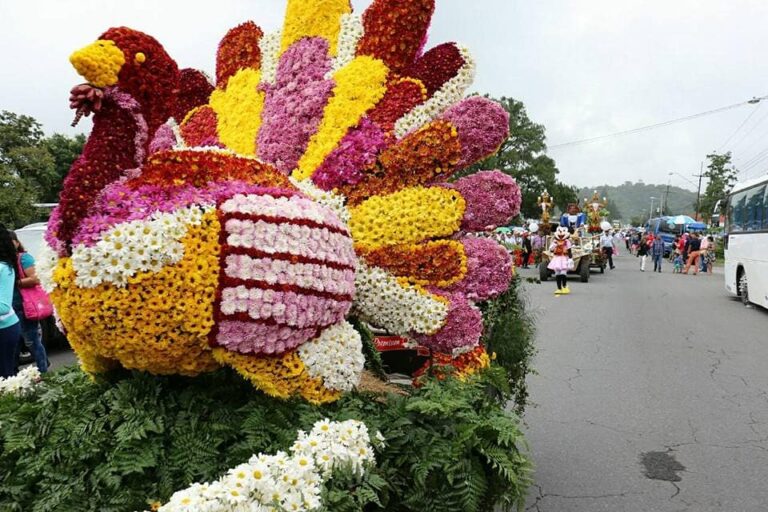 toda la riqueza que ofrece la región en floricultura, producción agrícola, ganadera y cafetalera, avistamiento de aves, sendero Los Quetzales y el Volcán Barú.